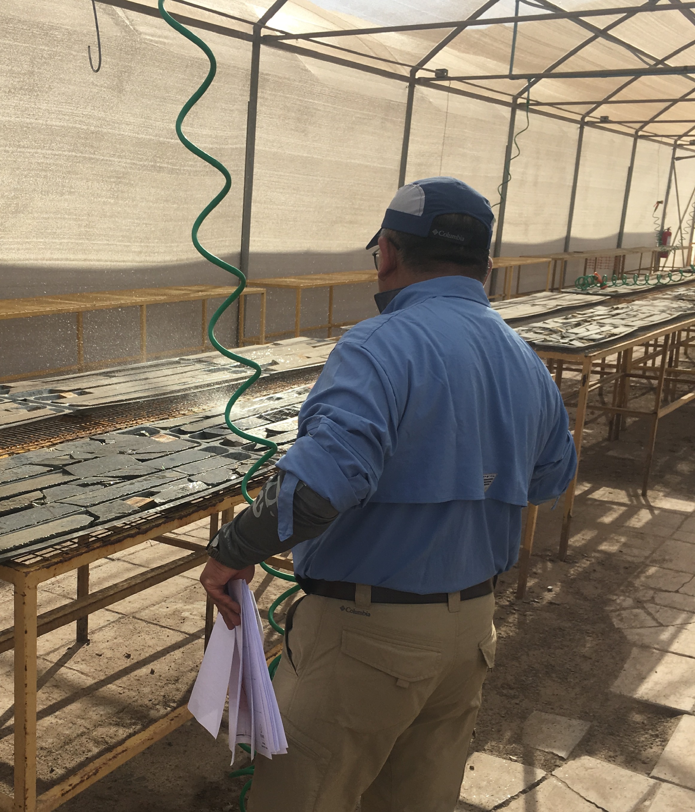 Validación de Datos